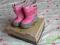 Buciki MERRELL roz. 20