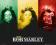 Bob Marley - Rege - Flaga - plakat 50x40 cm
