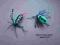 Metalic green beetle - promocja