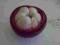 mangostan