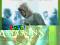 239.ASSASSINS CREED 1 / X360 /PL dubbing/S-ec/K-ce