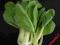 Pak choy, bok choy - świeży 200g
