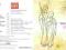Kolędy - New Life`m  CD /11 kolęd