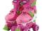 Rolki Wrotki Łyżwy