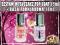 BAZA POD LAKIER + TOP COAT WYSUSZACZ NABŁYSZCZACZ