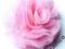broszka różowa róża nowy styl rewelacja Incarico