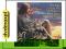 dvdmaxpl INSTRUMENTAL VOL.2 (CD)
