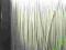 KABEL PRZEWÓD LGY 1x0,22mm2 za 10metrów  BIAŁY