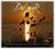 Estudio Del Mar [2CD] Chill out 24h