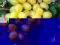 Winorośl 'Prim' - deserowe, żółte smaczne owoce