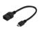 ASSMANN Kabel OTG USB-micro USB 0,2m