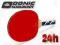 Rakietka do ping ponga Donic Young Champs 300 NEW
