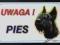 Tabliczka ostrzegawcza - UWAGA PIES! ---- SZNAUCER