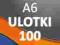 Ulotki A6 100 szt. - Dostawa 0 zł - PREMIUM 170g