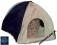 jeż pigmejski - Jeżowy namiot