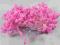 PTS013 PRĘCIKI do kwiatów różowe 5mm _80szt_