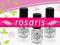rosaris * 2in1 COAT 6ml * PODKŁAD I NABŁYSZCZACZ *