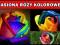 Tęczowa Róża - Rainbow Rose - Nasiona 100 szt.