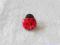 GUZICZKI (GUZIKI) OZDOBNE - BIEDRONKA CZERWONA