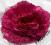 kwiat broszka /spinkaciemny róż ok.12cm koronka