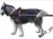 Szelki zaprzęgowe rozmiar XL  Husky, Malamut