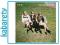 HAIM: DAYS ARE GONE (DELUXE) (ECOPACK) [2CD]