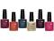 CND - SHELLAC MODERN FOLKLORE COLLECTION HIT!!