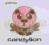 GRUFF RHYS: CANDYLION [CD]