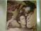KUSCHEL ROCK 44 SUPER LOVE SONGS 3LP