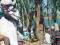 SRI LANKA - LAKE ALEMAYA- KOBIETA- FOLKLOR- STROJE