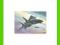 REVELL F-14A 