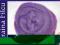 wełna czesankowa czesanka fioletowa 24mic 50g