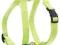 Zolux Szelki Nylon regulowane 10mm seledyn [462060