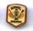 odznaka wojsko USA Devil Brigade spadochroniarze