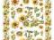 PAPIER DECOUPAGE SOFT, A4 ITDS025