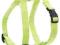 Zolux Szelki Nylon regulowane 10mm seledyn 462060A