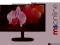 Monitor LG LED 24M35D-B DVI D-SUB FULL HD
