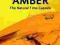 AMBER: THE NATURAL TIME CAPSULE Andrew Ross