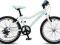 TOYS ROWER SUPERIOR XC 20 Paint white/blue/lime