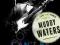 CAN'T BE SATISFIED: LIFE AND TIMES OF MUDDY WATERS