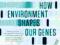 EPIGENETICS: HOW ENVIRONMENT SHAPES OUR GENES