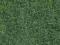Dzika trawa jasnozielona 50 g, NOCH 07102