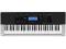 CASIO CTK-4400 Keyboard