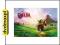 dvdmaxpl NINTENDO ZELDA OCARINA OF TIME (PLAKAT)