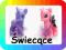 DUŻY ZESTAW KUCYK MY LITTLE PONY ŚWIECĄCE 2SZT HIT