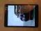 Apple iPad mini  32gb cellular Stan BDB