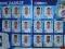 GÓRNIK ZABRZE Naklejki Ekstraklasa 2014 KOMPLET 20