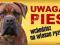 CANE CORSO UWAGA PIES TABLICZKA OSTRZEGAWCZA