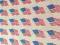 Tyvek 25 mm opaski na rękę FLAGA USA 100 szt