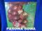 PIOSENKI LAT 50-tych. Vol. III /LP12/33